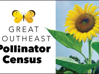 GSEPC logo and sunflower with 2 bees