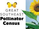 GSEPC logo and sunflower with 2 bees