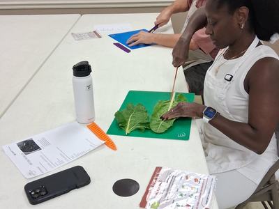 Adults sit at a table learning how to properly cut greens using a chef's knife.