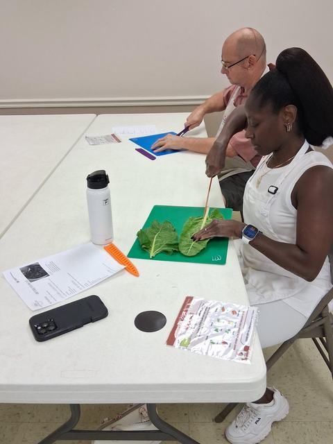 Adults sit at a table learning how to properly cut greens using a chef's knife.