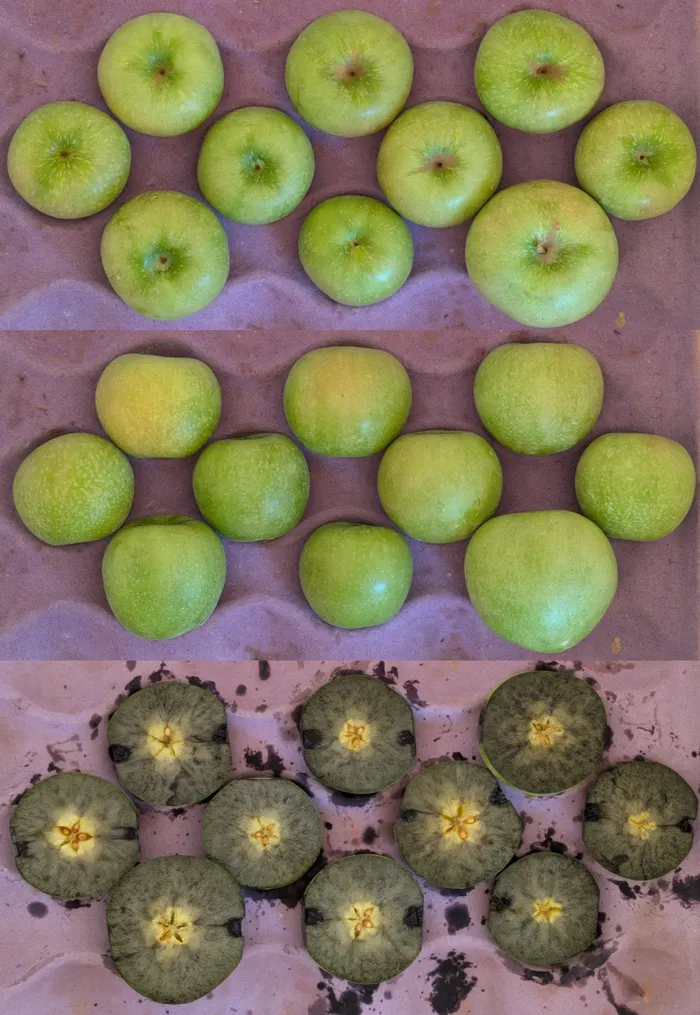 Figure 4. Granny Smith superficial appearance at the stem-end (top), shoulder (middle), and starch pattern (bottom) on 08.18.2026 in Edneyville, NC.