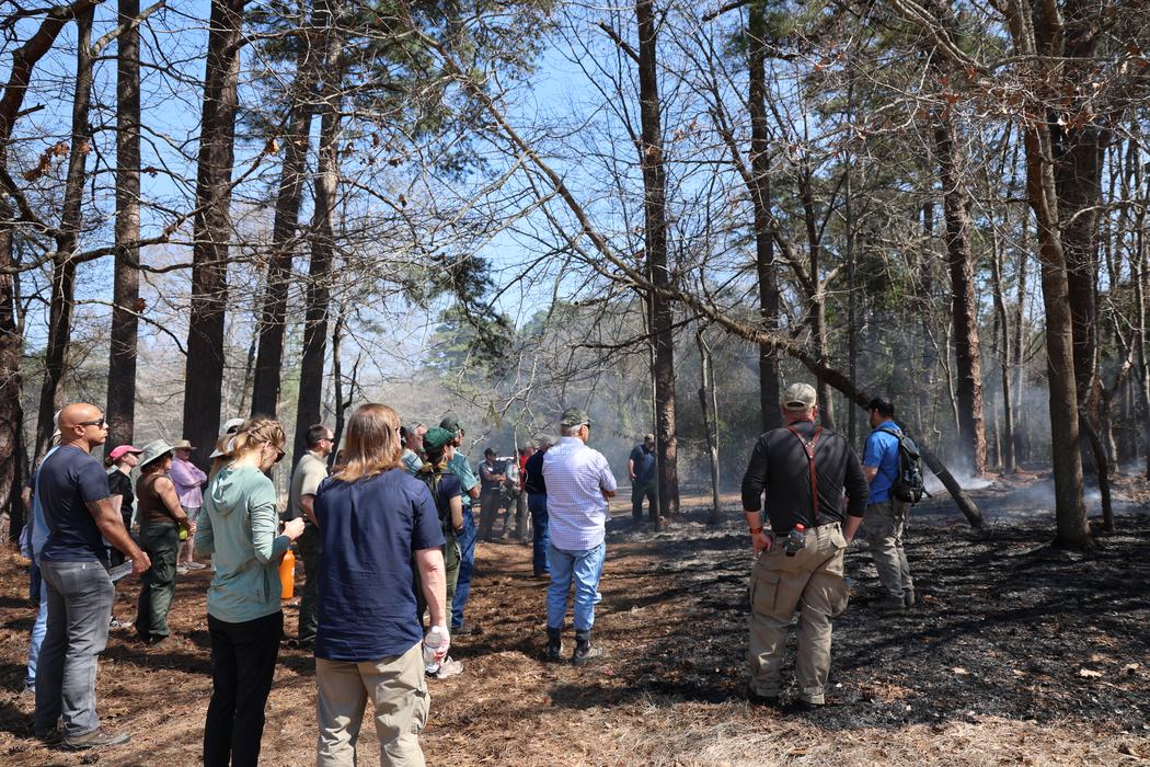 Attendees at the "Duff in the Sandhills" workshop observe active duff smoldering from a recent burn at Weymouth Woods State Park.