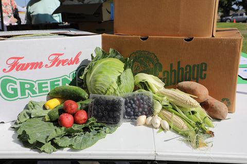 Loving all the fresh local produce!