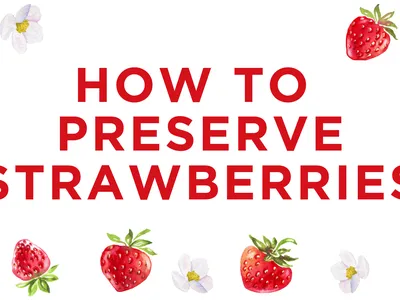 decorative image with "How to Preserve Strawberries" title and strawberries surrounding the words