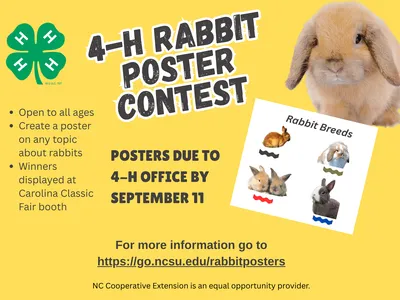 Flier for rabbit poster contest.