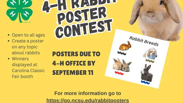 Flier for rabbit poster contest.
