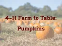 Pumpkins