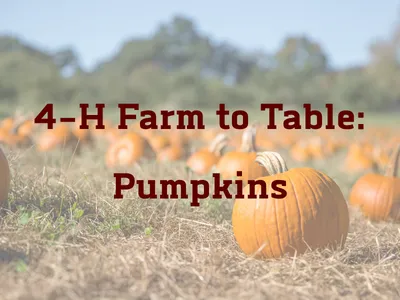 Pumpkins