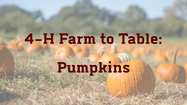Pumpkins