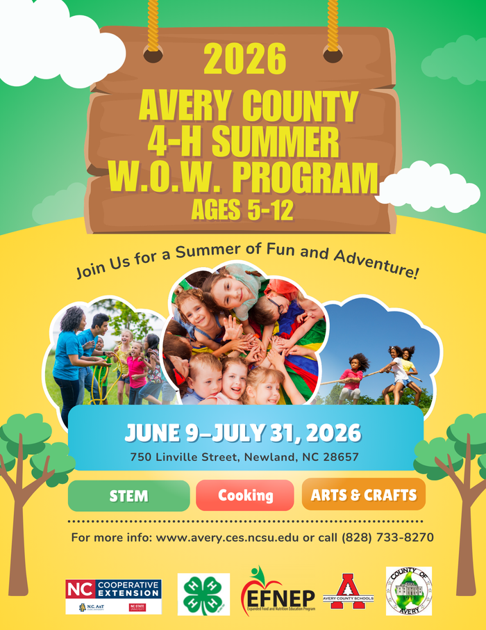 4-H Summer WOW 2026 Promotional Flyer beginning June 9 and ending July 31.