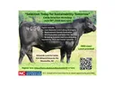 Selection today for Sustainability Tomorrow