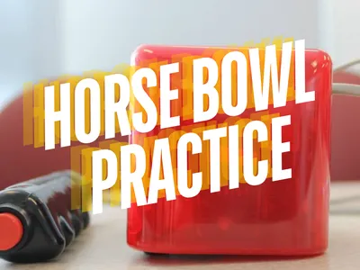 Horse Bowl