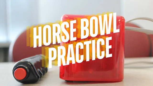 Horse Bowl