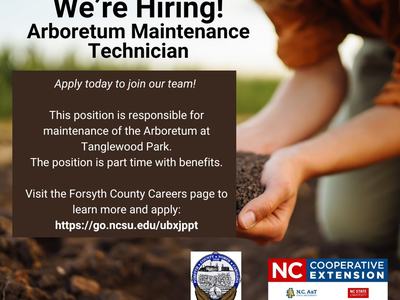 Person on their knees holding a hand full of dirt. Text is included in story text with county and N.C. Cooperative Extension logos in the image.