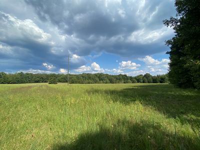 Open field with blue sky at Farm Campus