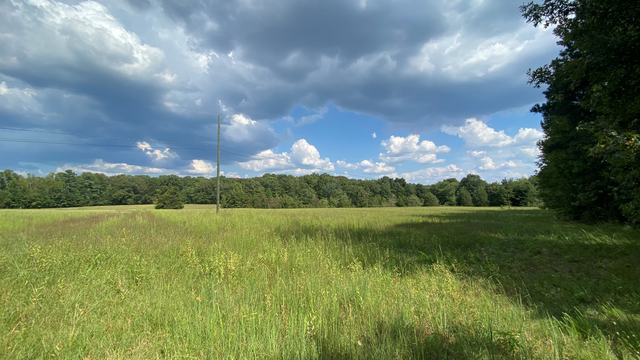 Open field with blue sky at Farm Campus