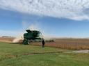 John Deere combine harvesting soybean