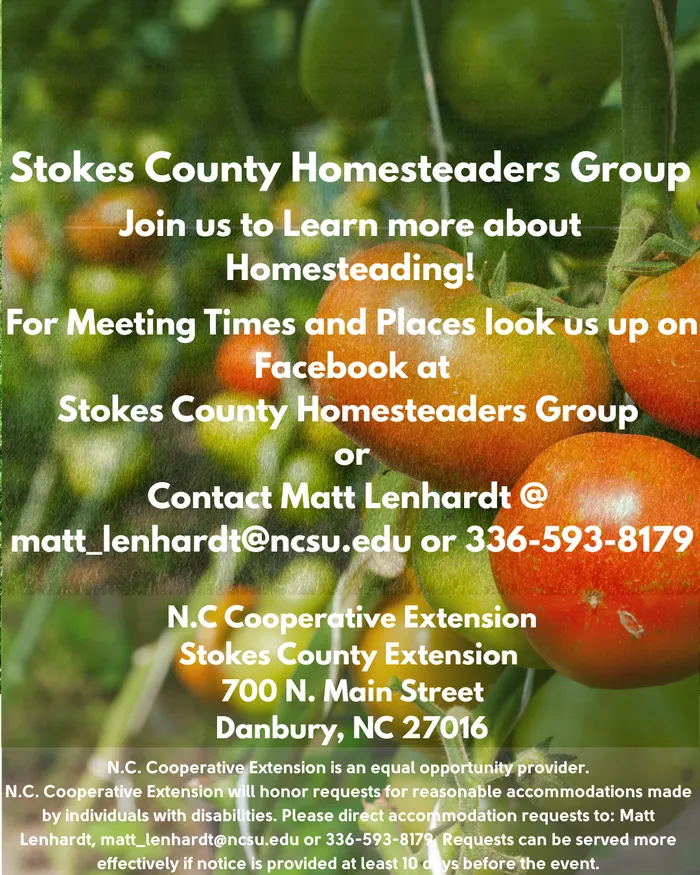 Homesteader tomato