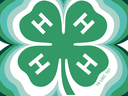 The 4-H Emblem, a green four-leaf clover with a white 'H' on each leaf and the legal statement 18 U.S.C., radiating with layered shades of green and white.