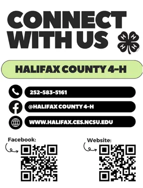 Halifax County 4-H contact information graphic featuring the 4-H clover logo, phone number (252-583-5161), Facebook handle (@Halifax County 4-H), website, and QR codes linking to the county's Facebook page and Cooperative Extension website.