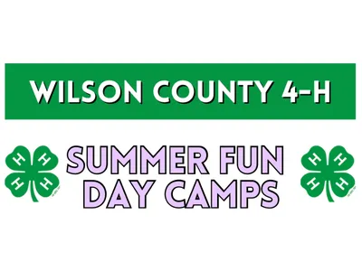 4-H Summer Camps title