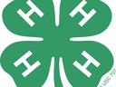 4-H clover logo