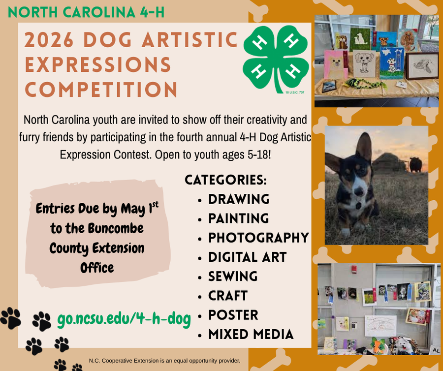 4-H Dog Contest