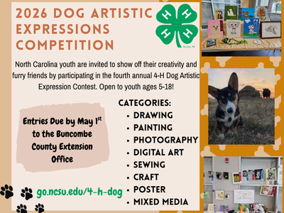 4-H Dog Contest