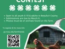 green flyer giving details about contest