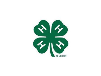 4-H Shamrock logo