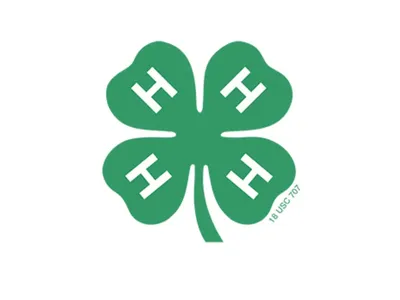 4-H Clover