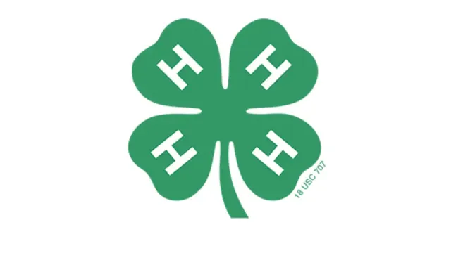 4-H Clover