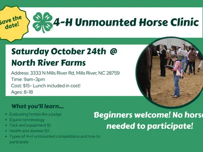 Horse Clinic