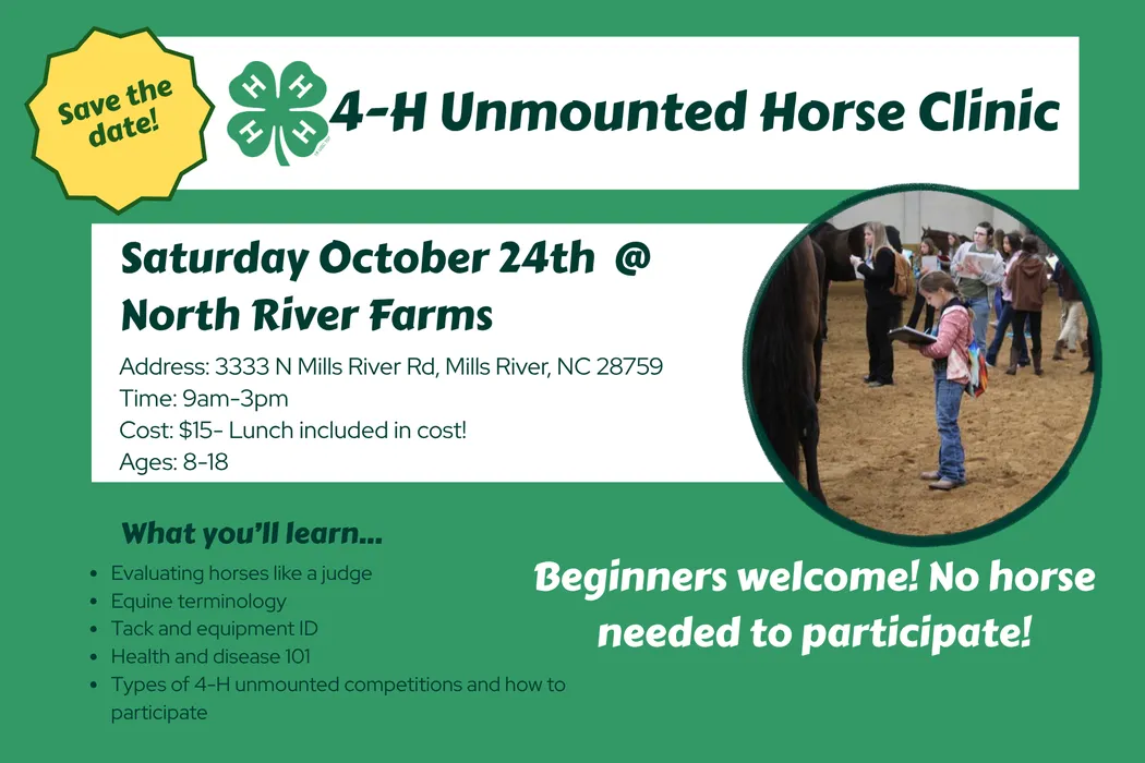Horse Clinic