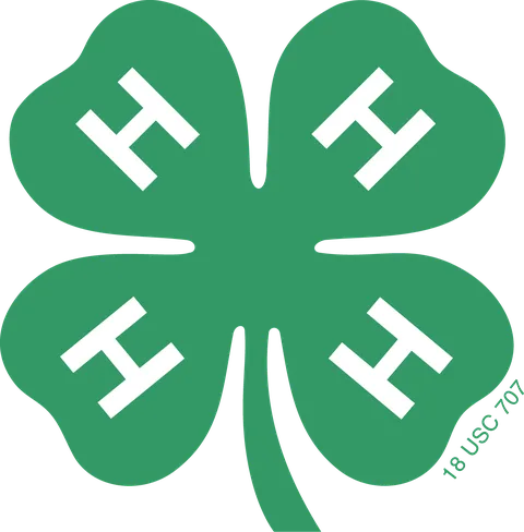 4-H Clover