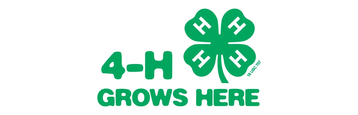 4-H grows here graphic