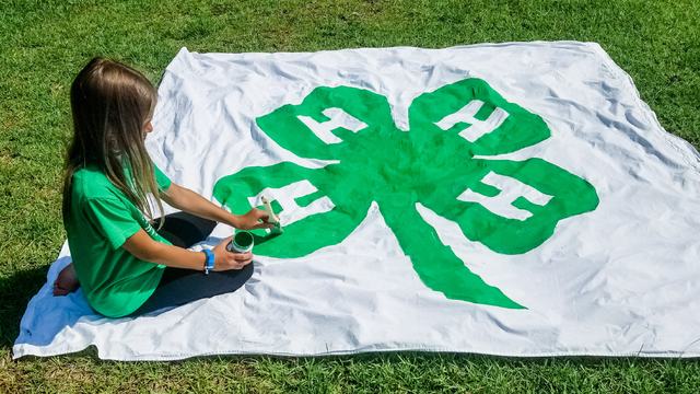 A 4-H member paints a large green 4-H clover emblem on a white fabric banner spread across the grass.