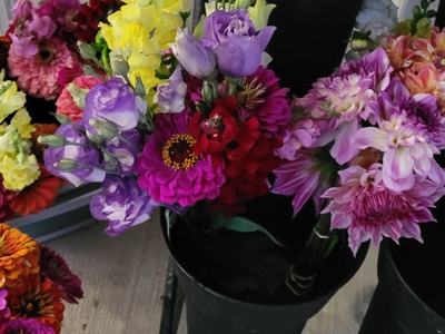 Cut flowers on display