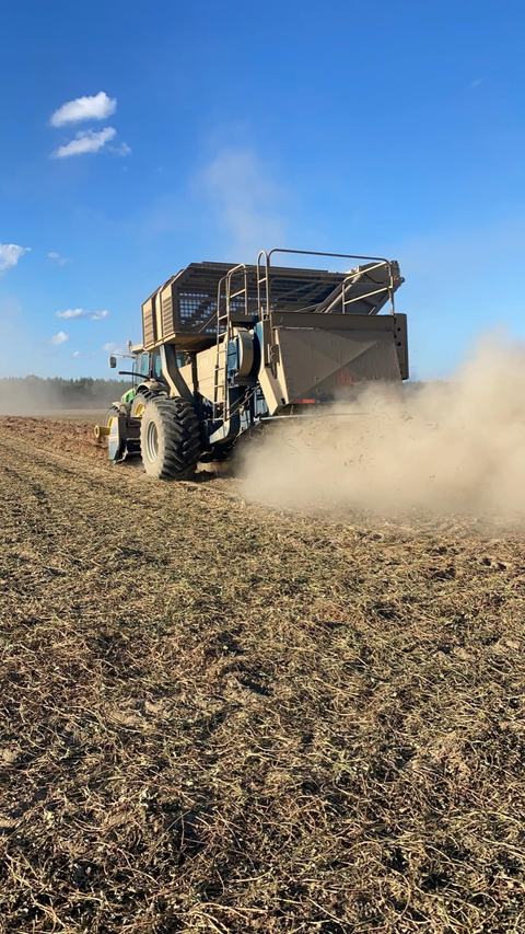 Peanut picker in the field picking peanuts
