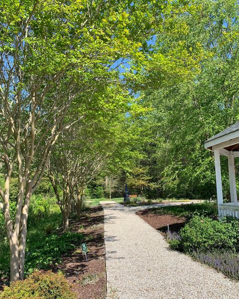 Walking path at the Discovery Gardens on a sunny day.
