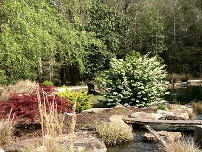 Sunny day at the Discovery Gardens.