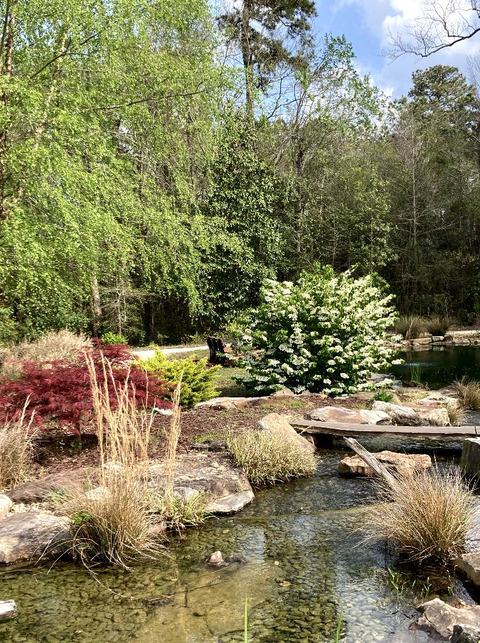 Sunny day at the Discovery Gardens.