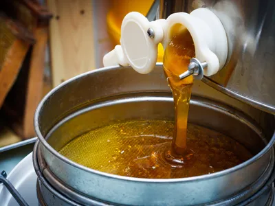 Honey pouring into barrel
