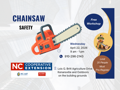 Canva Creation by Wanda B