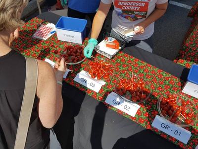 People sample cherry tomatoes from numbered bowls at a market tasting table.