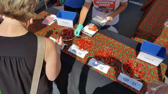 People sample cherry tomatoes from numbered bowls at a market tasting table.