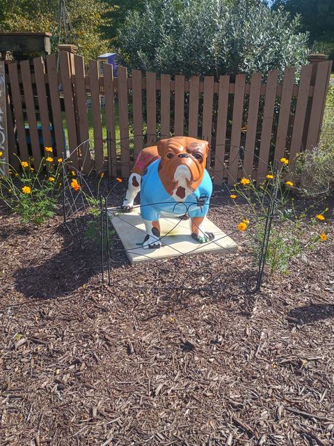 Chesty the Bulldog statue in the Discovery Gardens, painted to look like a master gardener.