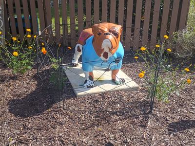 Chesty the Bulldog statue in the Discovery Gardens, painted to look like a master gardener.
