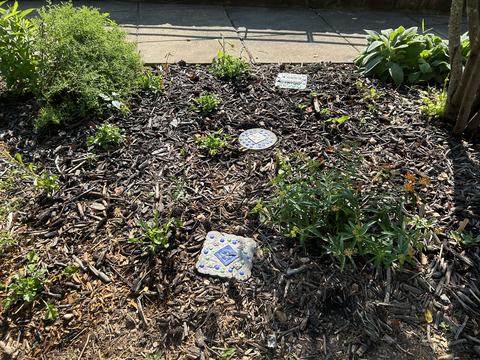 Stone tiles running through a garden bed, June 2025