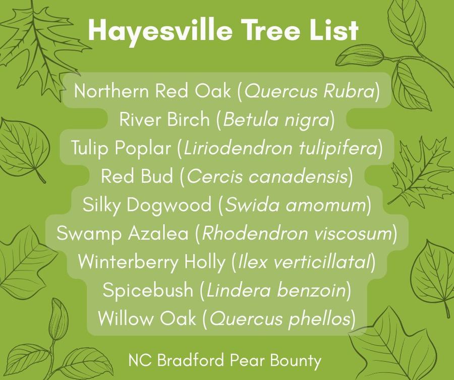 A list of trees available at the Bradford Pear Bounty in Hayesville
